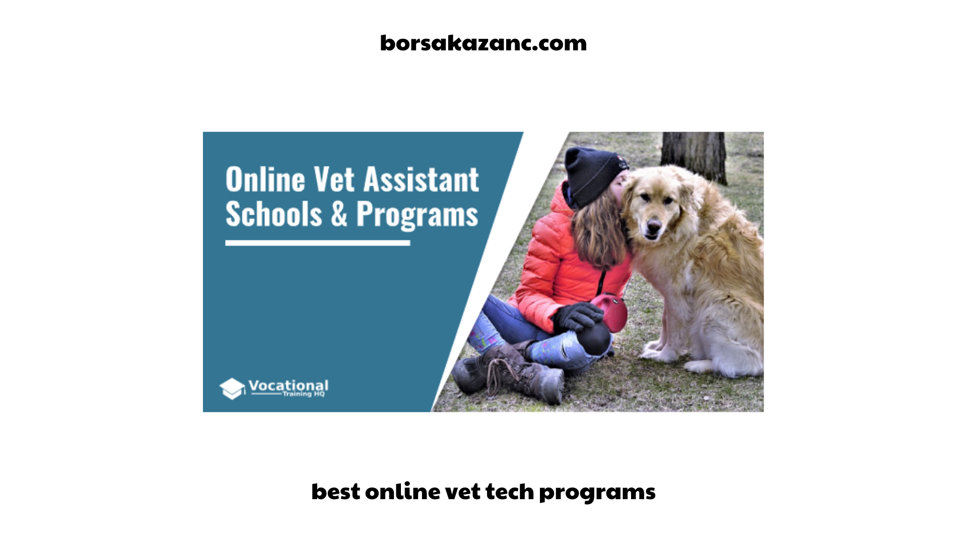 best online vet tech programs (2)