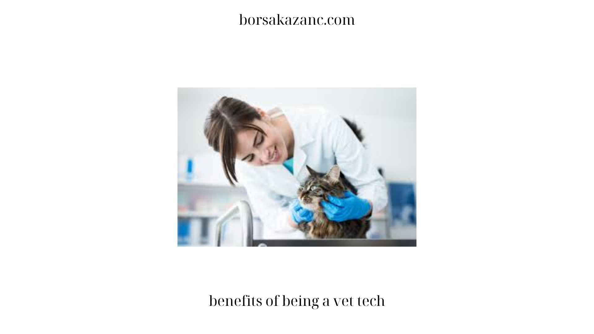 benefits of being a vet tech