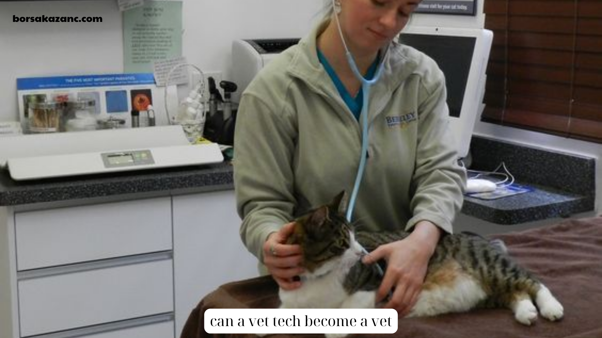can a vet tech become a vet (2)